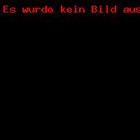 Showtanz auf der Chrysanthema Oktober 2019