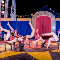 SCL beim Circus Paletti 2015_12