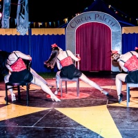 SCL beim Circus Paletti 2015_17